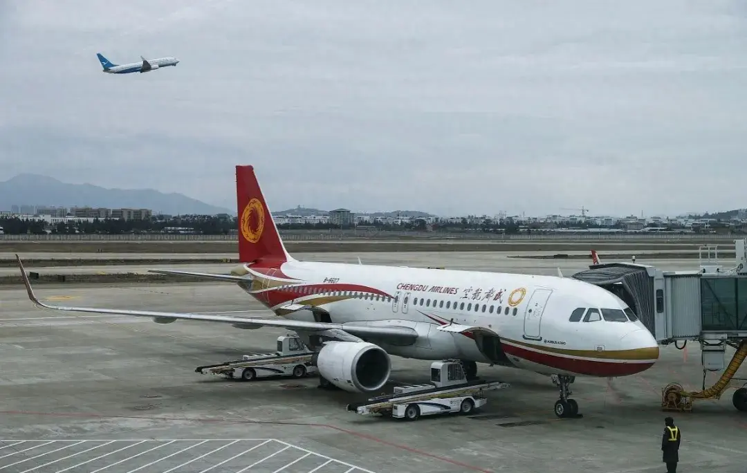 飛機(jī)延誤乘務(wù)長唱歌補(bǔ)償霉霉歌迷