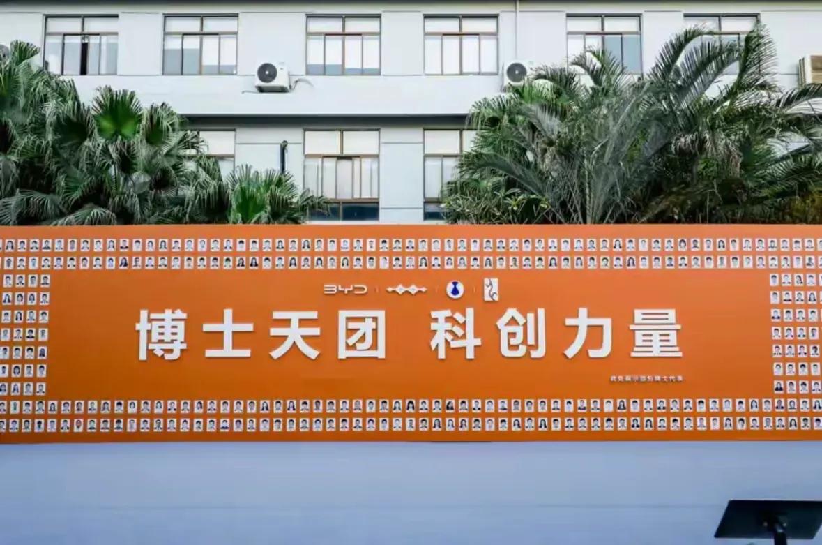 2025智能化發展更全面,比亞迪技術創新力如何增強?